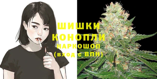 таблы Бикин